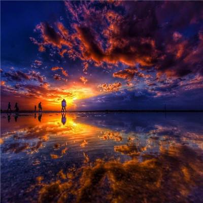 半岛手机网页版登录