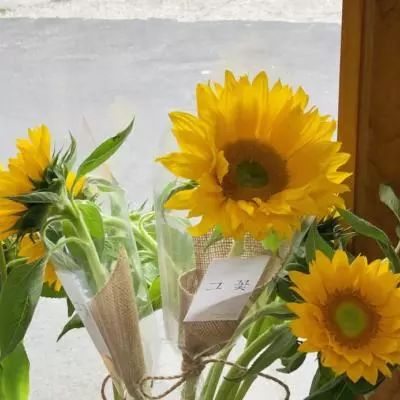 Kaiyun·开云体育下载手机版